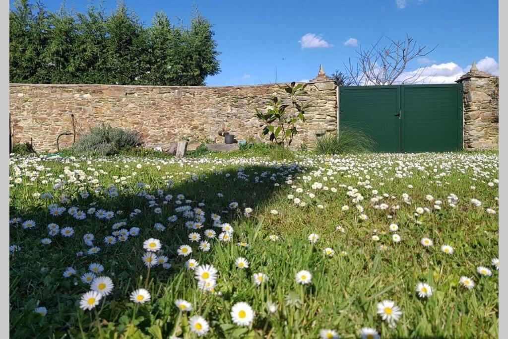Estudio Pajar Rural Con Bonito Jardin - Los Gayoles Rural Castropol Dış mekan fotoğraf